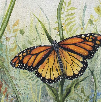 Framed Botanical Beauties A Print