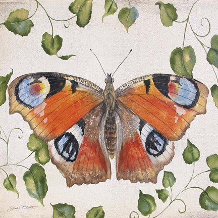 Framed Orange Dream Butterfly Print