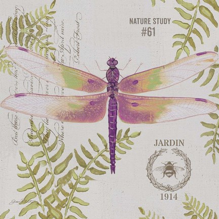 Framed Botanical Dragonfly C Print