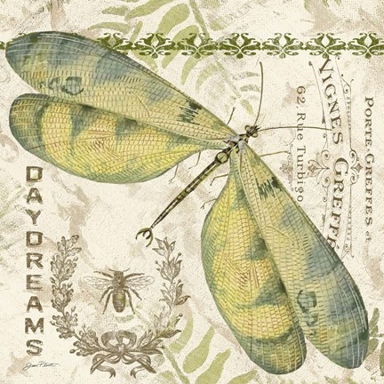 Framed Dragonfly Daydreams A Print