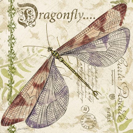 Framed Dragonfly Daydreams B Print