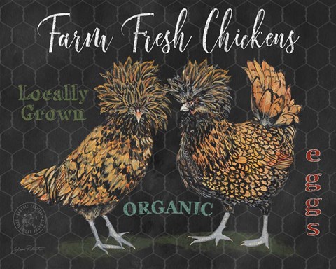 Framed Polish Hen - E Print