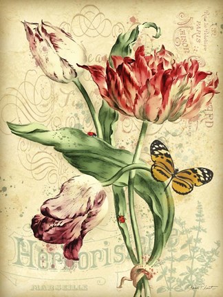 Framed French Florals 2 Print