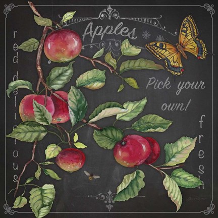 Framed Apples Print