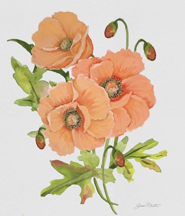 Framed Botanicals 5 Print