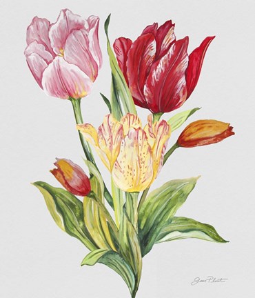 Framed Botanicals 9 Print