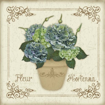 Framed Fleur Hortensia 1 Print