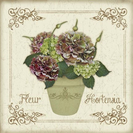 Framed Fleur Hortensia 2 Print