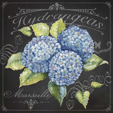 Framed Hydrangeas 1 Print