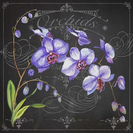 Framed Orchids 1 Print