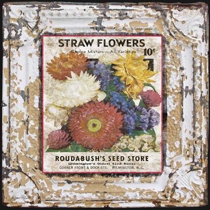 Framed Tin Tile - Straw Flowers Print
