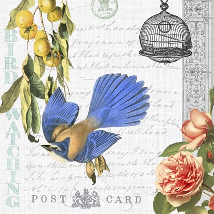 Framed Birdwatchers Dream 1 Print