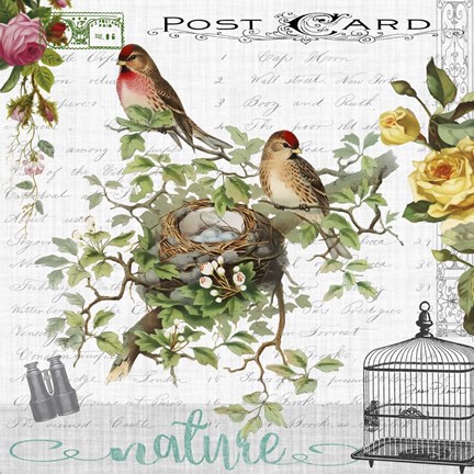 Framed Birdwatchers Dream 3 Print