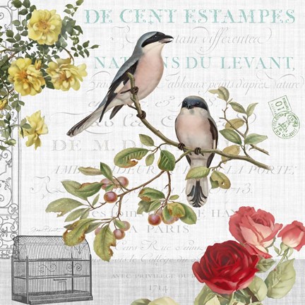 Framed Birdwatchers Dream 4 Print