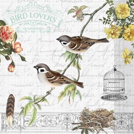 Framed Birdwatchers Dream 5 Print