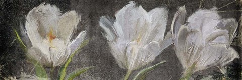 Framed Tulip Triolet Print