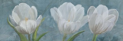 Framed Tulip Triolet 2 Print