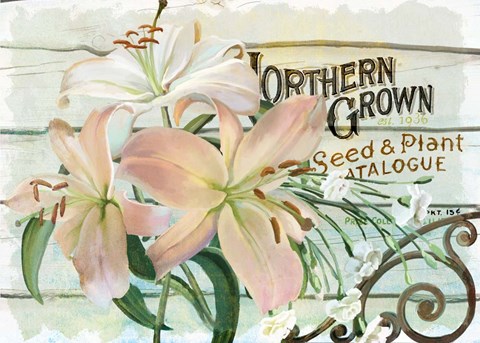 Framed Farm Seed Lilies Print