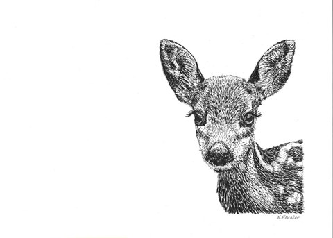 Framed Deer Print
