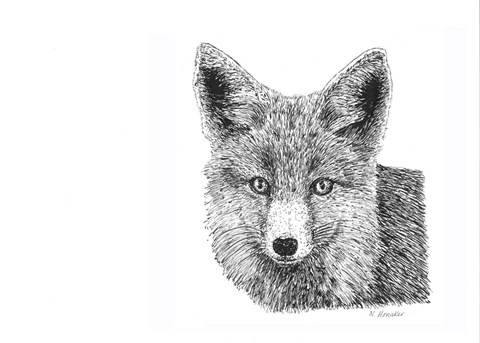 Framed Fox Print