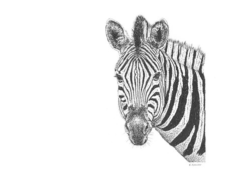 Framed Zebra Print