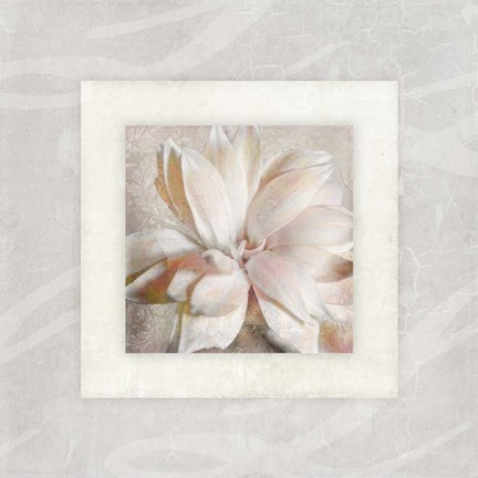 Framed Pink Ivory Portrait 1 Print