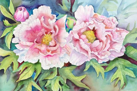 Framed Pair of Peonies Print