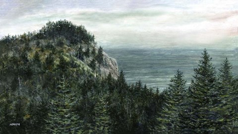 Framed White Head Print