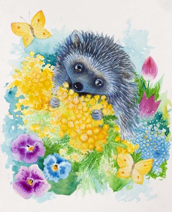 Framed Hedgehog Print