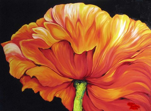 Framed Single Poppy Print