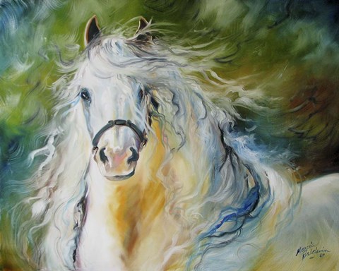 Framed White Cloud The Andlusian Stallion Print