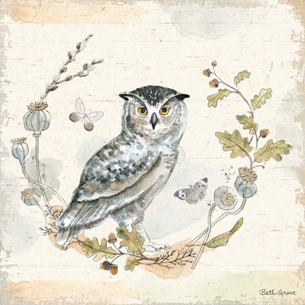 Framed Woodland Wreath IX Print