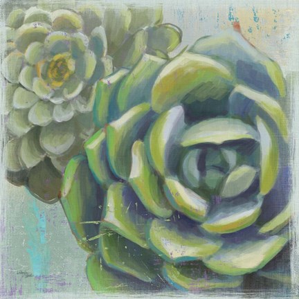 Framed Succulents II Crop Print