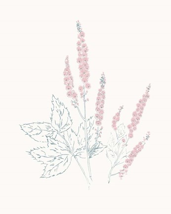 Framed Flowers on White VII Contemporary Print