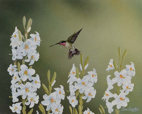 Framed In the Garden Print