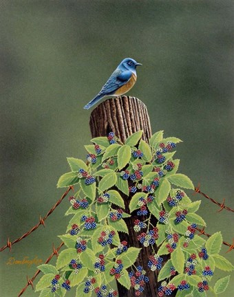 Framed Keeping Watch Print