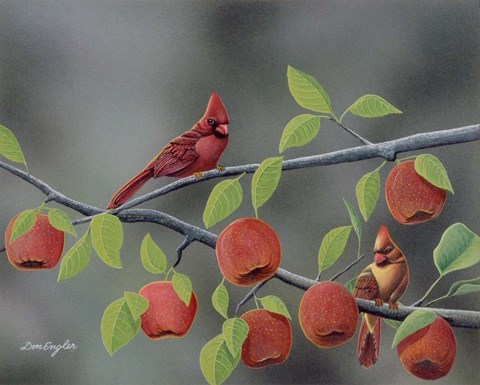 Framed Symphony in Red Print