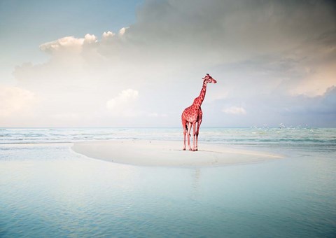 Framed Oceanic Savannah Print