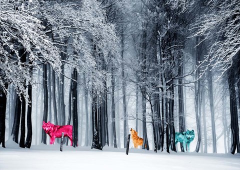 Framed Kings of the Wild Frontier Print