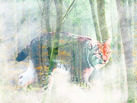 Framed Silent Hunter Print