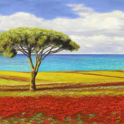 Framed Mediterraneo I Print