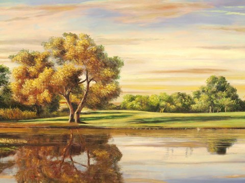 Framed Riflessi sul Lago (detail) Print