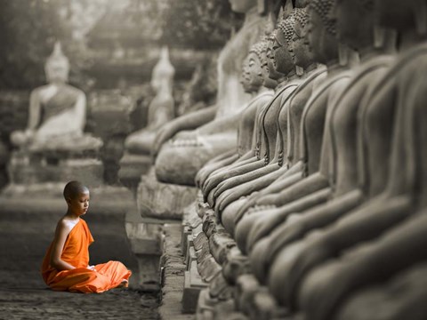 Framed Young Buddhist Monk Praying, Thailand (BW) Print