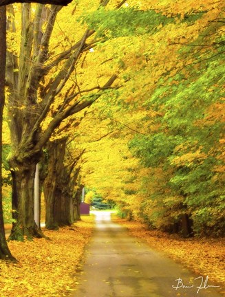 Framed Autumn Gold Print