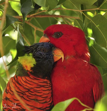 Framed Sticking Together Print