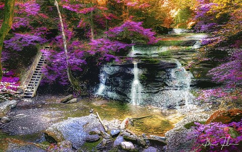 Framed What Dreams May Come Print