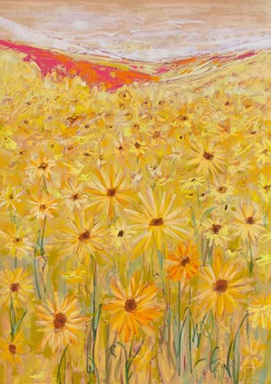 Framed Spanish Sunflowers V Print