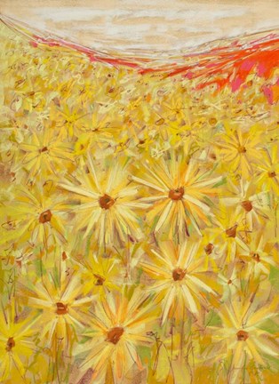 Framed Spanish Sunflowers VI Print