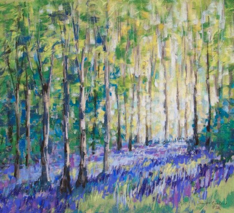 Framed Bluebell Woods IV Print