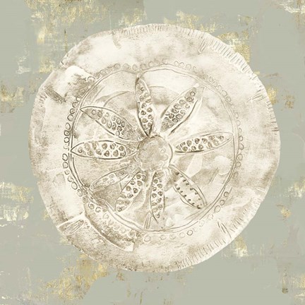 Framed Cone Shells I Print